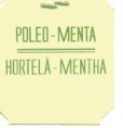 /album/te/poleo-menta-155-jpg/